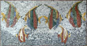 AN577